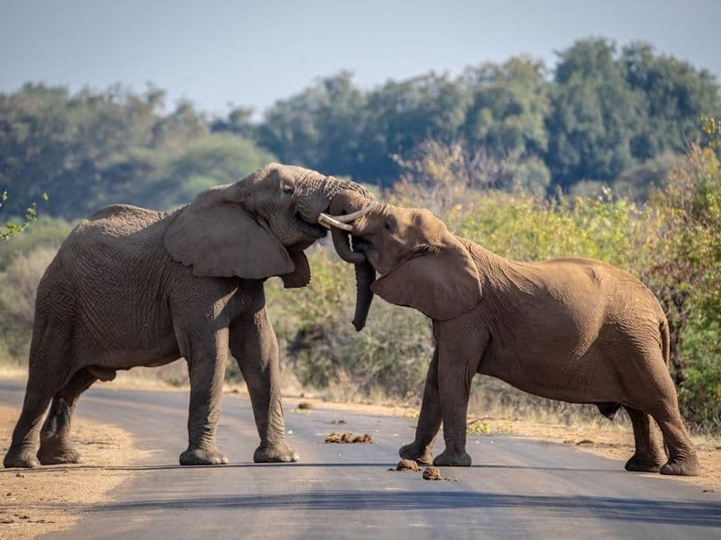 Inside Africa Collective's Drive for Global Partnerships